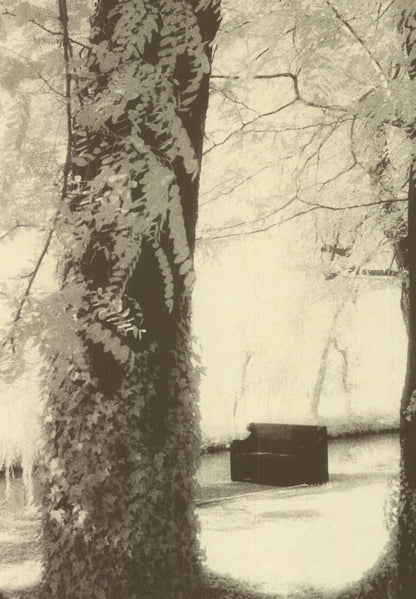 Marco Bertin Silence " Offset Lithograph Photography Black & White