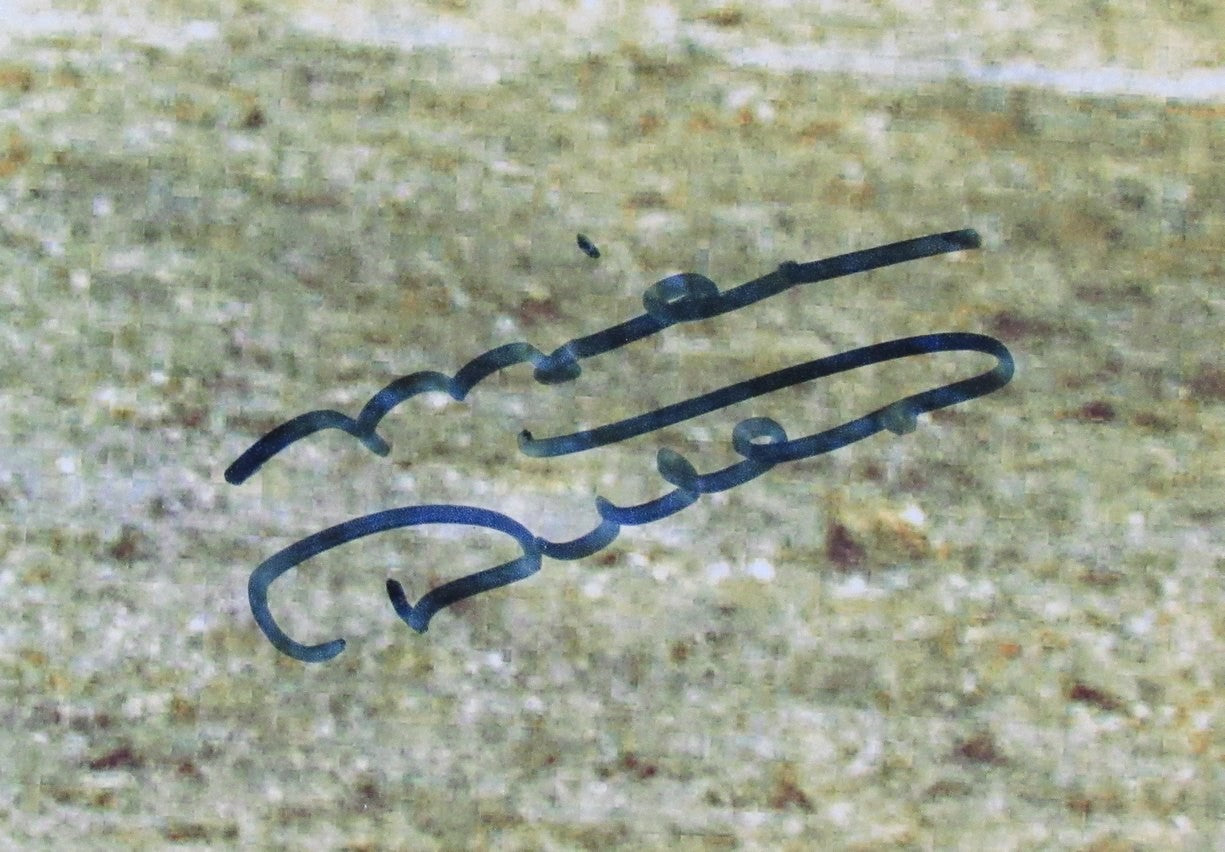 Mike Ditka Hof Signed/Auto 16X20 Photo Chicago Bears Framed Psa/Dna 200963