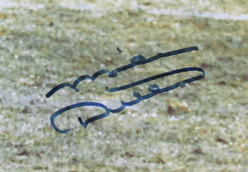 Mike Ditka Hof Signed/Auto 16X20 Photo Chicago Bears Framed Psa/Dna 200963