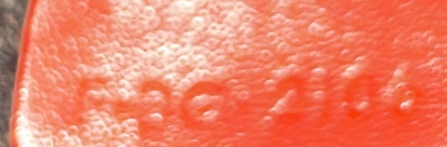 Celine Twisted Cabas Tote Calfskin Small