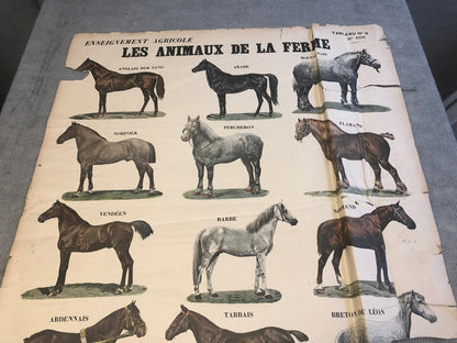 Emile Deyrolle Les Animaux De La Ferme - Les Chevaux " Lithograph 1