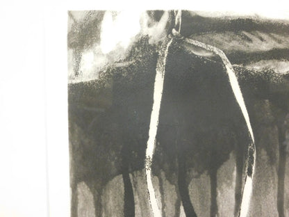 Gerard Titus-Carmel Original Etching Print Narwa Series, Signed Framed
