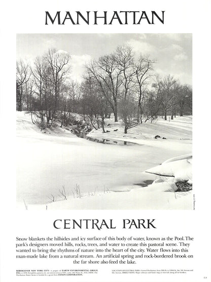 Joel Greenberg Central Park " Offset Lithograph Contemporary