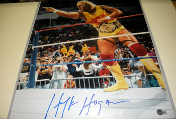 Hulk Hogan Hulkamania,The Hulkster Last One