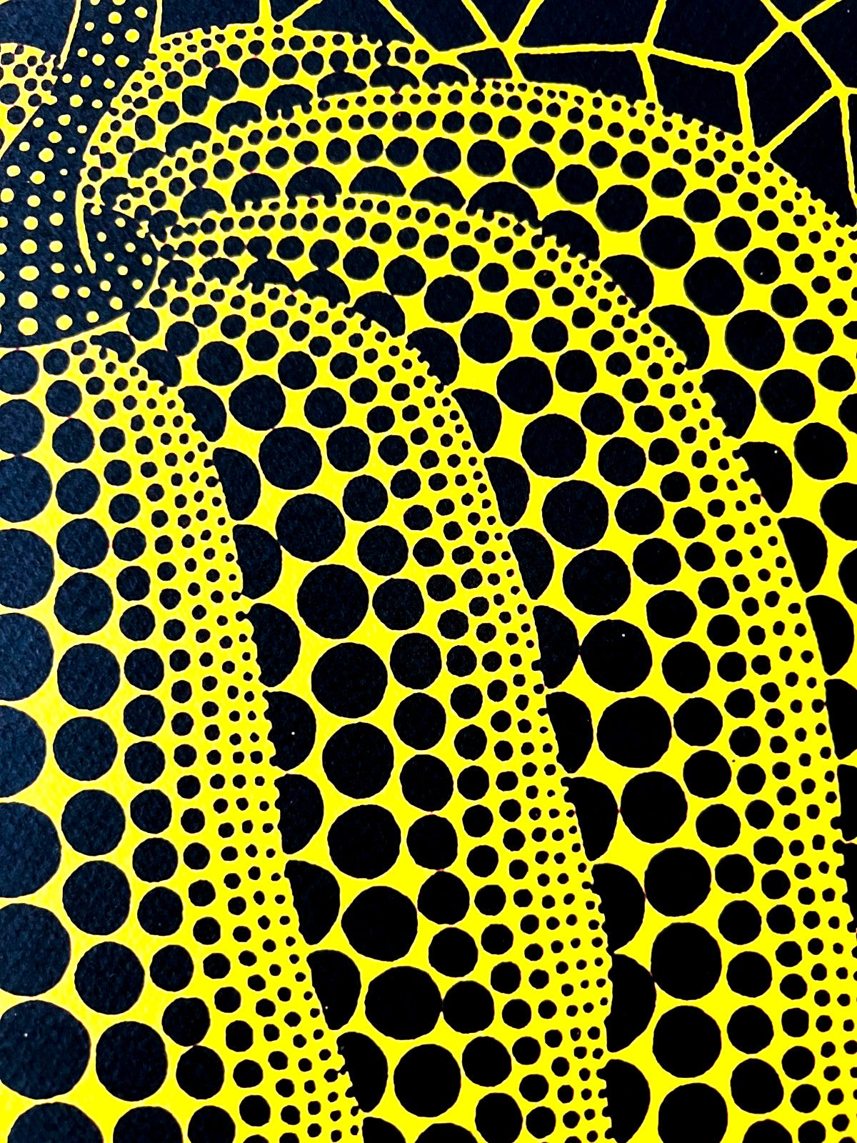 Yayoi Kusama Lithograph Mori Museum Coa Numbered Limited To 200