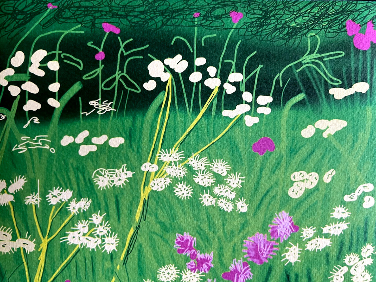 David Hockney Lithograph Handmade Coa Signed Op Numbered Limited &