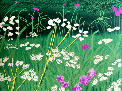 David Hockney Lithograph Handmade Coa Signed Op Numbered Limited &