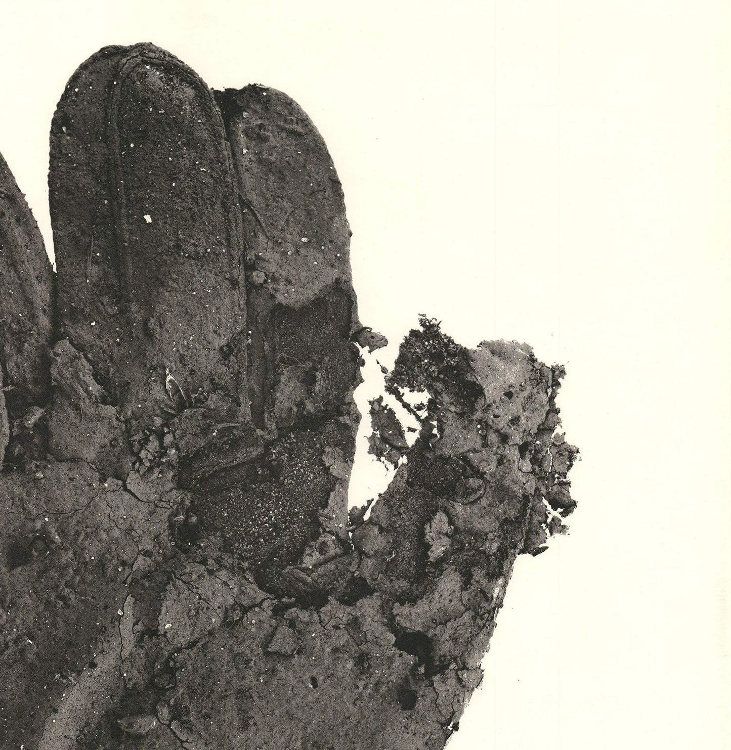 Irving Penn Street Material " Offset Lithograph