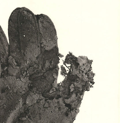 Irving Penn Street Material " Offset Lithograph