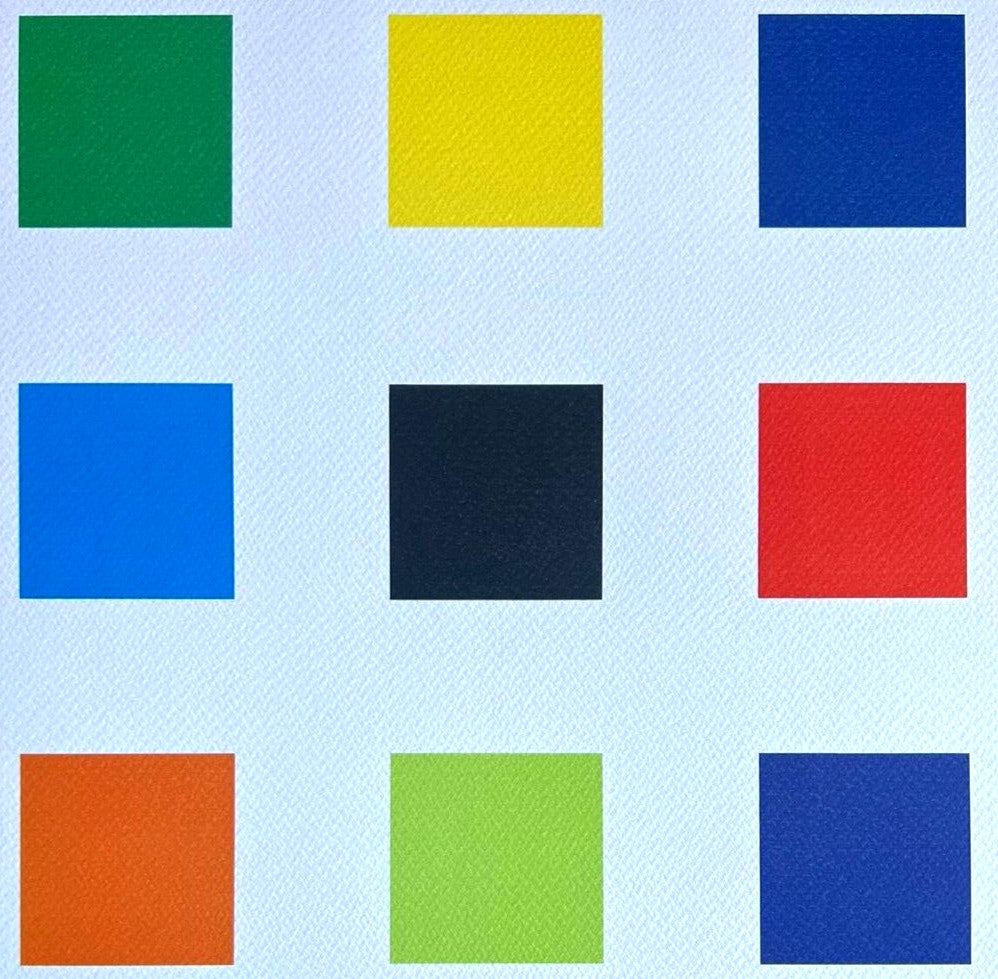 Ellsworth Kelly Lithograph Signed Coa 180 Ex Numbered Pencil Stamp