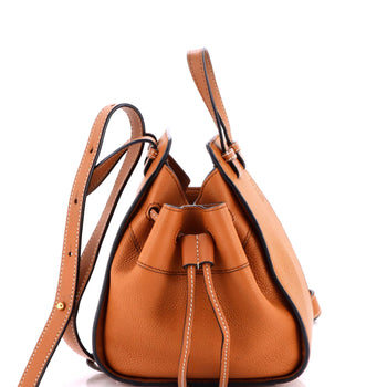 Mini Loewe Hammock Bag Leather