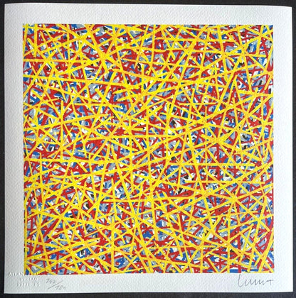 Sol Lewitt Lithograph Coa Signed By Hand Numbered Stamp