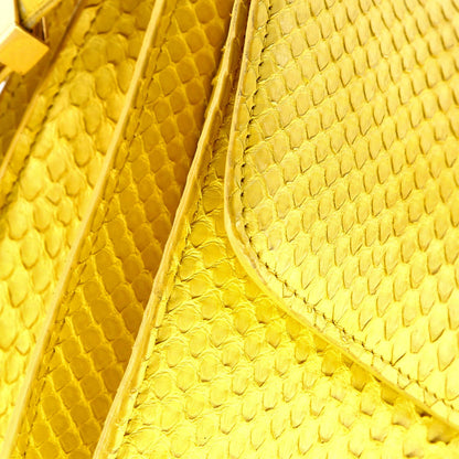 Celine Classic Box Bag Python Small