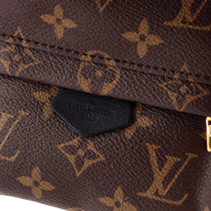 Louis Vuitton Palm Springs Backpack Monogram Canvas Mini