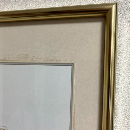 Alessandro Nocentini Original Etching Seashells