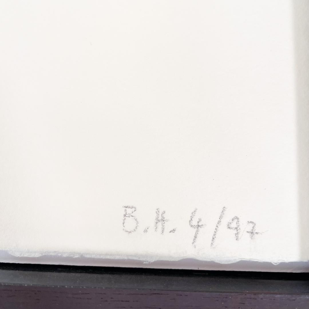 Kurt Meyer-Eberhardt Etching Cat Kitten Original Radierung Signed 4/97 Framed