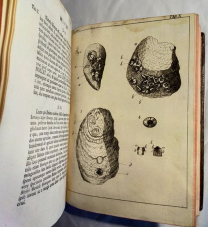 1751/1755 Acta Helvetica Vol.1-2 Basel Scientific Journal Bernoulli Engravings