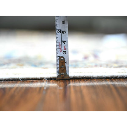 3'1"X5' Gray Aryana Natural Dyes Pure Wool Hand Knotted Oriental Rug