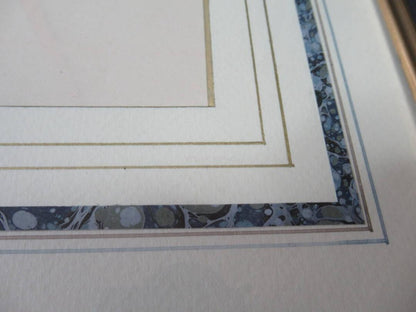 Henry Eeles Dresser "Cyanecula Svecica" 1871 Hand-Colored Bird Lithograph Framed