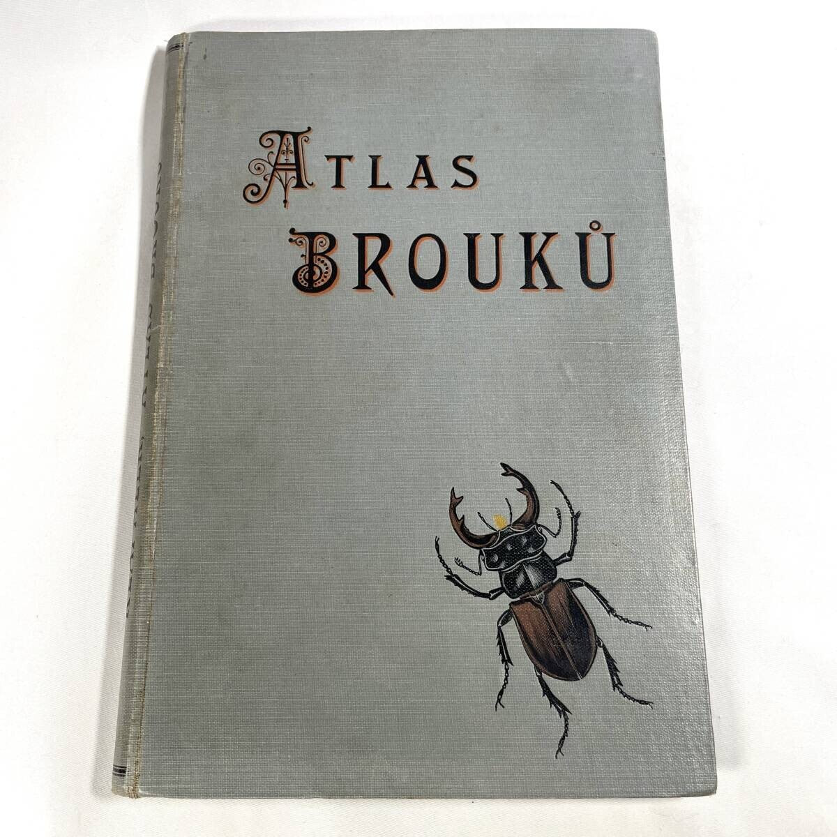 Atlas brouku by Frantiek Klaplek, 1903, Czech Beetle Atlas, Full-Color
