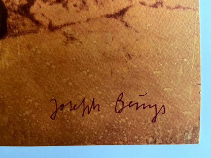 Joseph Beuys, The Revolution Is Us, Coa Signed In Pen/Pencil Numbered
