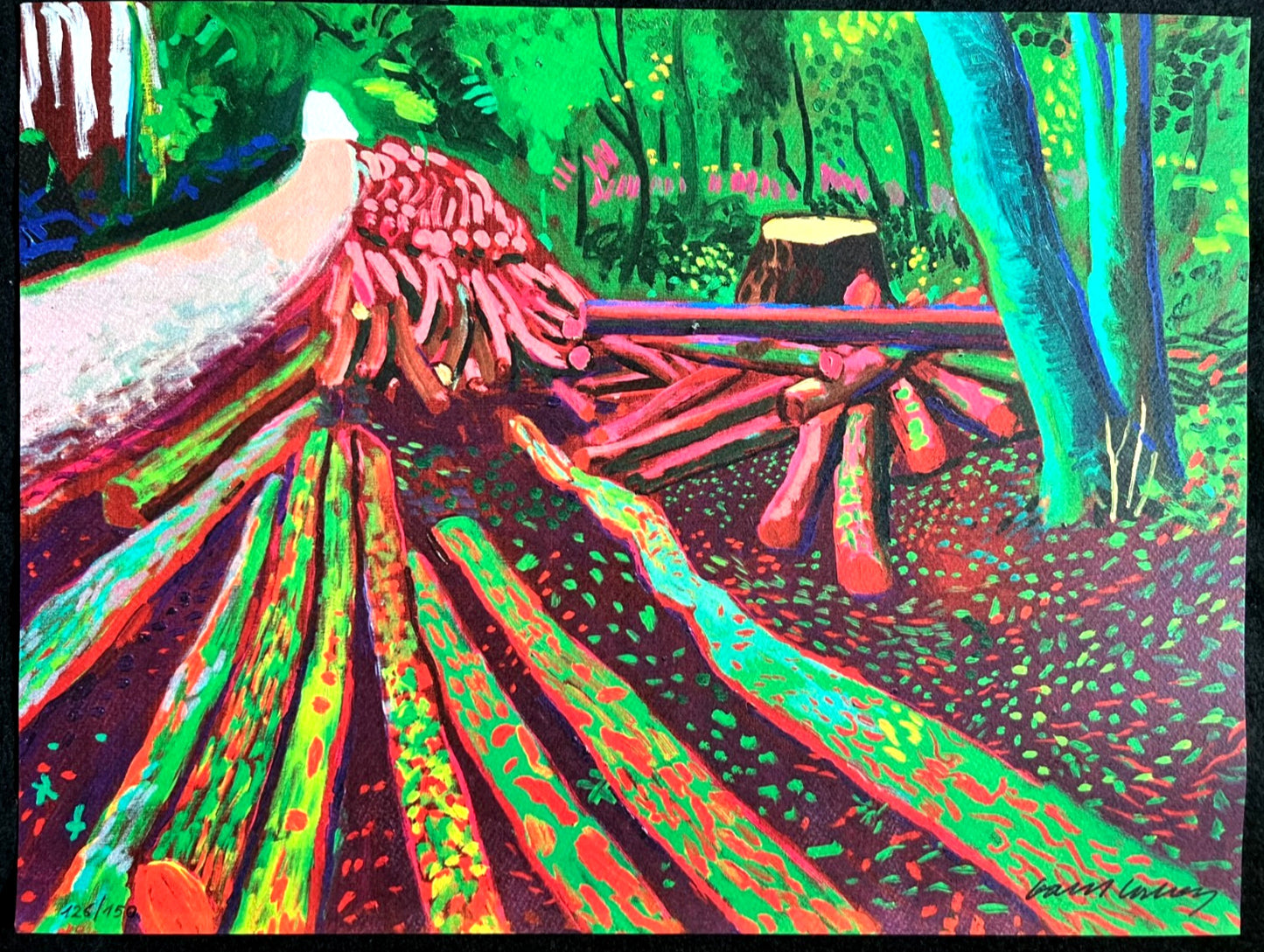 David Hockney Lithograph Coa Signed Op Numbered A Hand Limited &