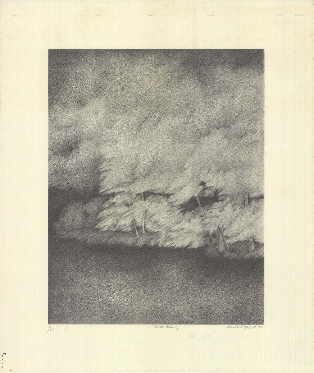 Kenneth Nedorost Gables Waterway Signed " Lithograph