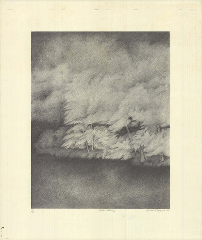 Kenneth Nedorost Gables Waterway Signed " Lithograph