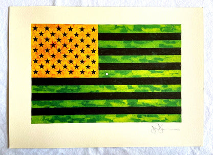 Jasper Johns Lithograph Certified Coa Numbered Limited Edition Signed Op 250 Exe