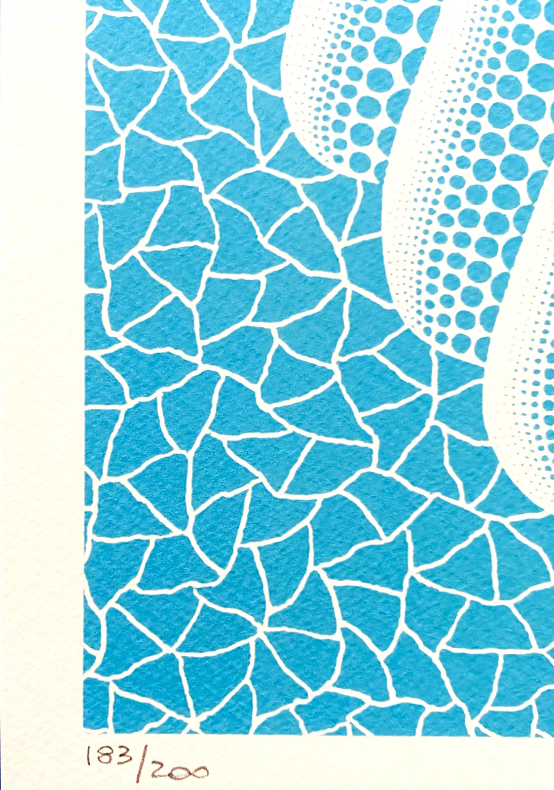 Yayoi Kusama Lithograph Mori Museum Coa Numbered Limited Fit