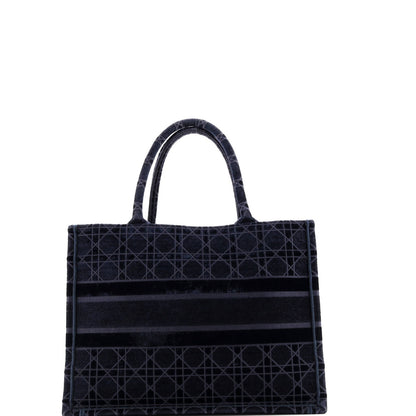 Christian Dior Book Tote Cannage Embroidered Velvet Medium