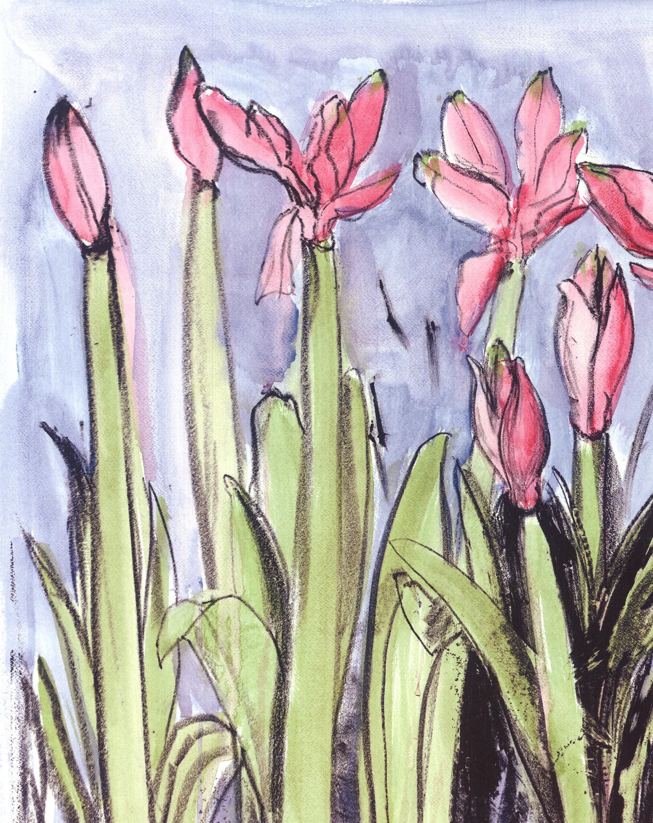 Jim Dine Anemones " Offset Lithograph Pop Art Green, Pink, Blue Jim
