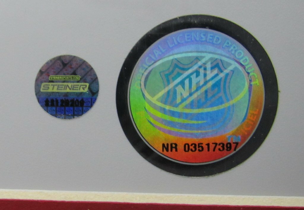 Martin Brodeu Devils Signed/Autographed 16X20 Photo Framed Steiner 141832