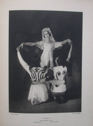 Descriptive image text