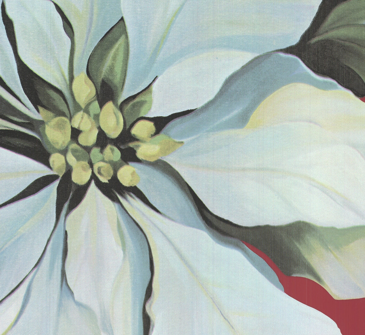 Lowell Nesbitt Pointsettia Signed " Serigraph Realism White, Red, Y