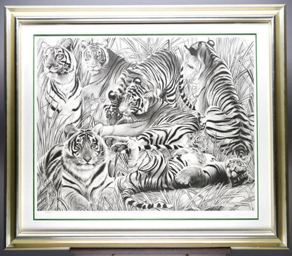 Beppe Spadacini (Italy) Original Silkscreen Print Save The Tigers Signed Framed