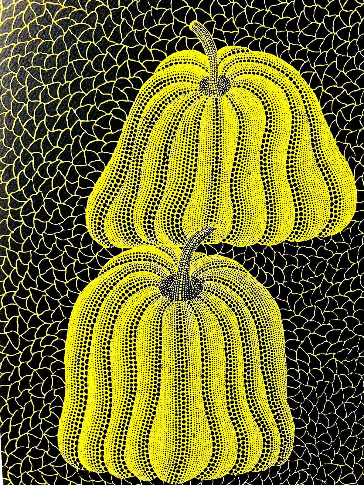 Yayoi Kusama Lithograph Mori Museum Coa Original Numbered Limited To 200