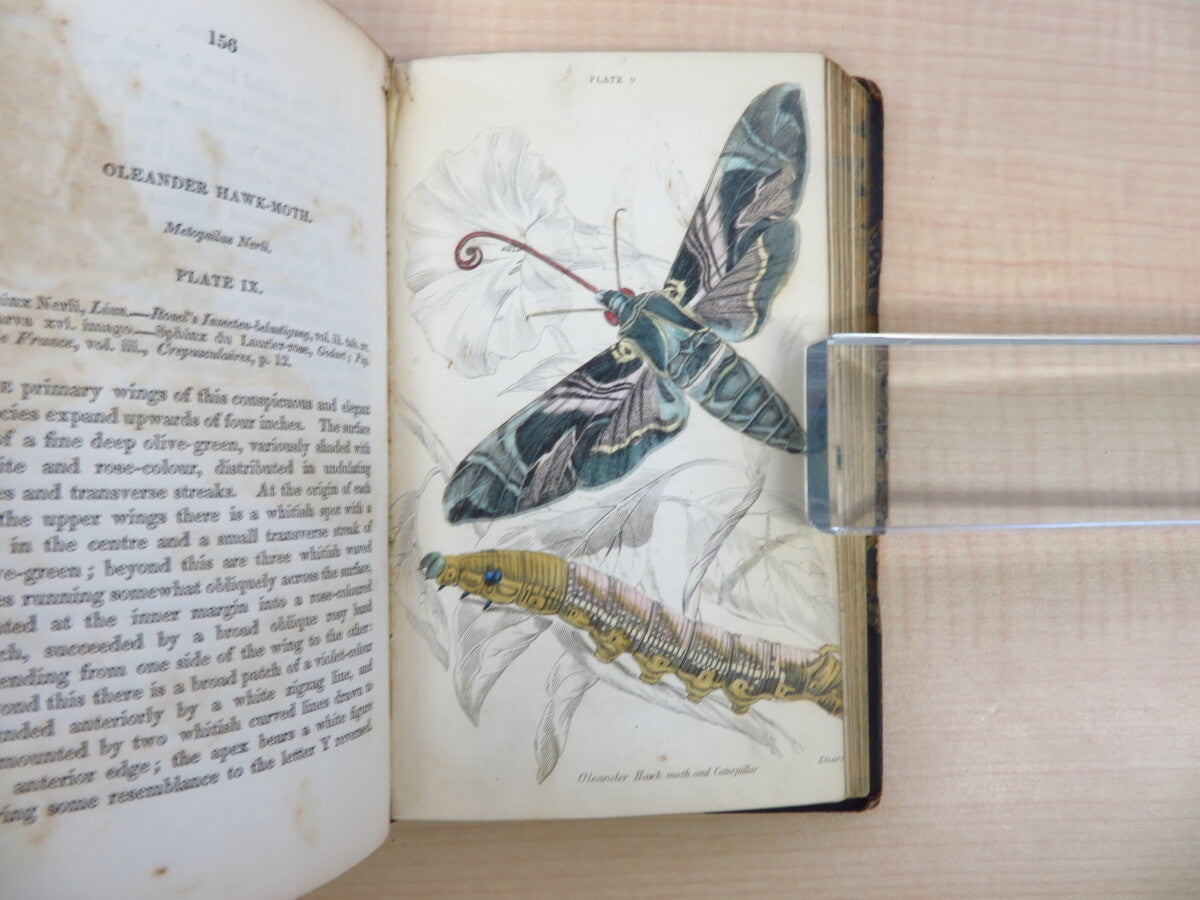 James Duncan?The Naturalist'S Library 4?1836 British Moth Book