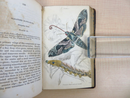James Duncan?The Naturalist'S Library 4?1836 British Moth Book