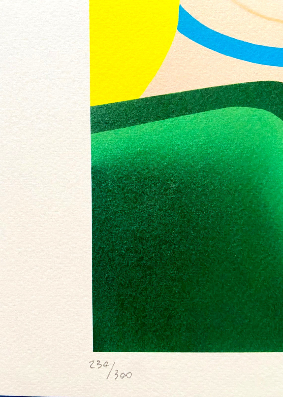 Made Tom Wesselmann Lithograph Handmade COA Signed op Numbered Hand