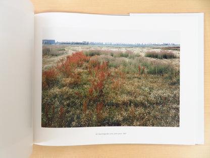 Simone Nieweg - Landshaften Und Gartenstucke Ed100 Photo Book Signed Photo Print