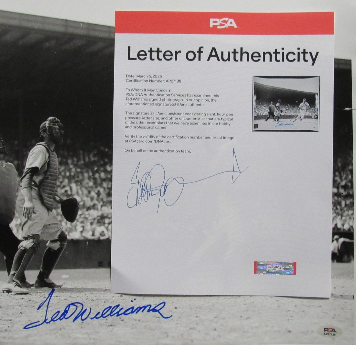 Ted Williams Hof Signed/Autographed 16X20 Photo Boston Red Sox Psa/Dna 192806