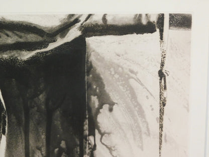 Gerard Titus-Carmel Original Etching Print Narwa Series, Signed Framed