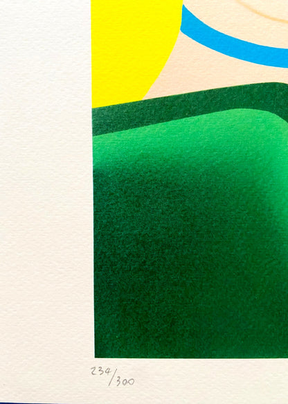 Tom Wesselmann Lithograph Handmade Coa Signed Op Numbered Hand Made