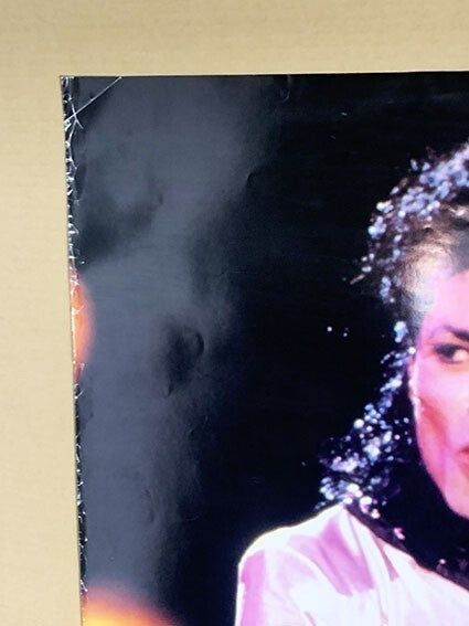 Rare Michael Jackson Japan Concert Not For Sale