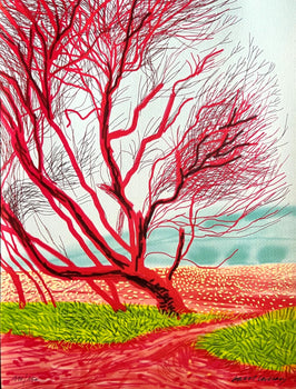David Hockney Coa Lithograph Signed Op Hand Numbered Limited &^