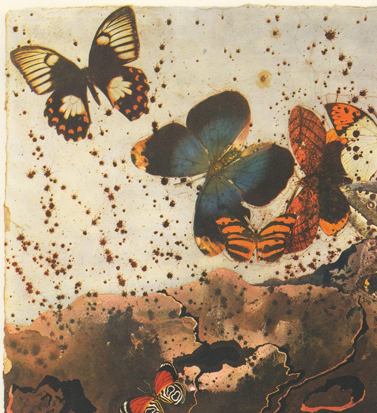 Surrealism Poster Salvador Dal Salvador Brown 1970 Auvergne 39" x 24.75