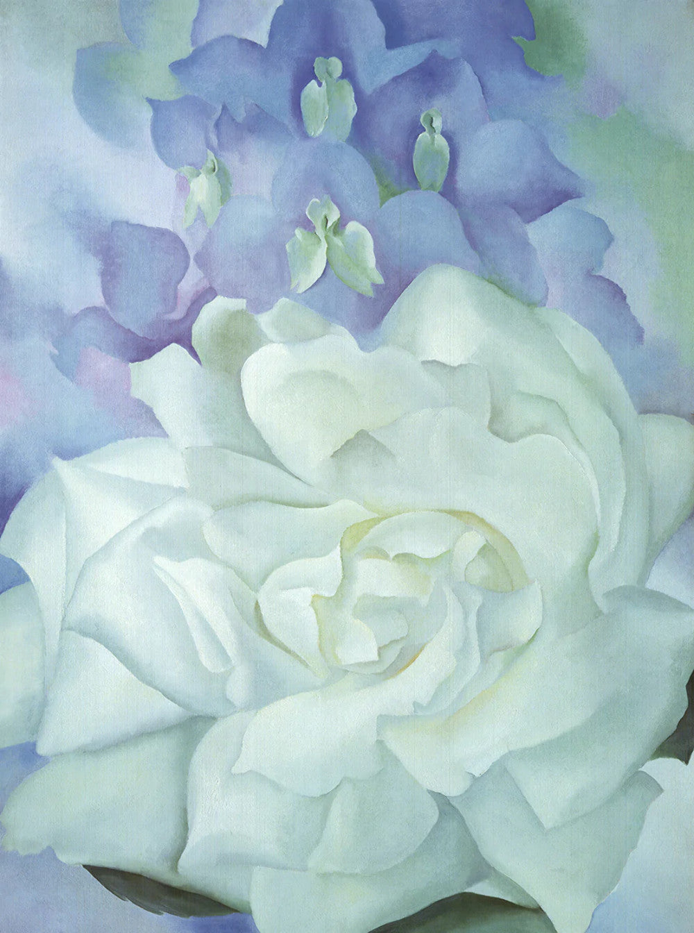 Georgia O'Keeffe White Rose With Larkspur No.2 " Offset Lithograph