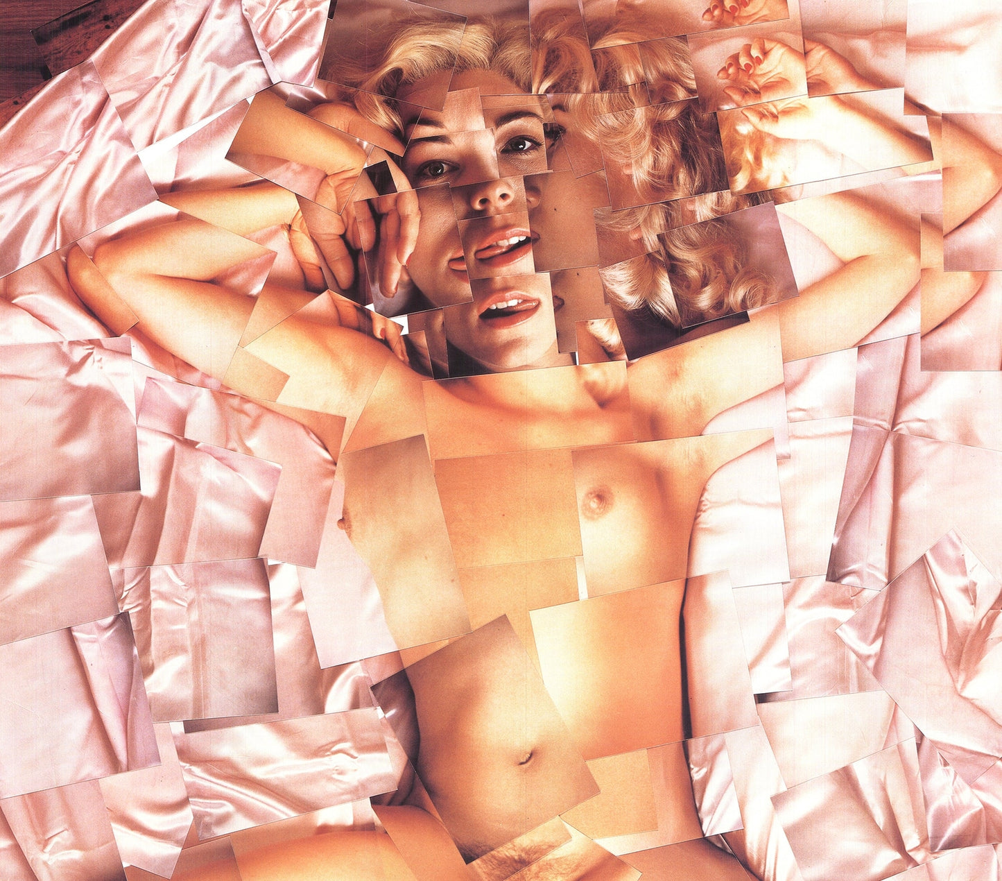 David Hockney Teresa Russell: Xvi Rip Arles &quot; Poster Pop Art B