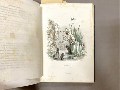 Les Fleurs Animees / J. J. Grandville Illustrated Book Two Volumes 1847